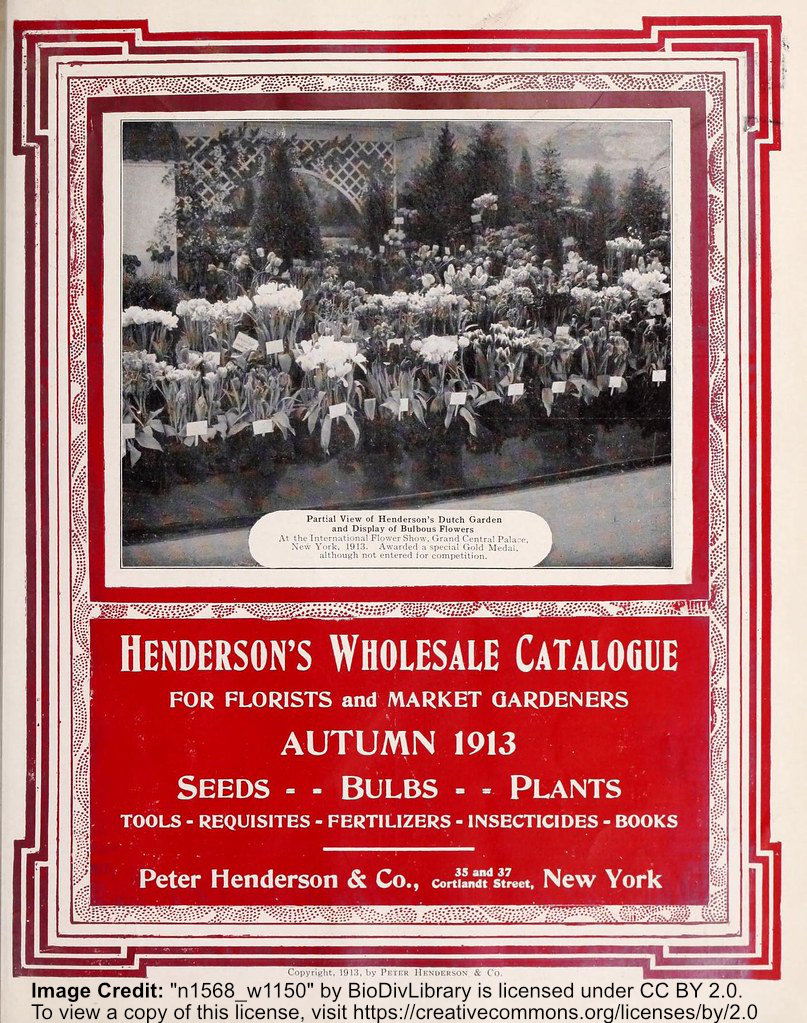 Photo of the cover for the Autumn 1913 Henderson's Wholesale Catalogue for Florists and Market Gardeners: Seeds, Bulbs, Plants. A multi-layered Art-Deco-style red-and-white frame defines the catalogue edges, with a matching red title block with white text. A black-and-white photo shows flowering plants growing in a garden. Image Credit: 'n1568_w1150' by BioDivLibrary is licensed under CC BY 2.0. To view a copy of this license, visit https://creativecommons.org/licenses/by/2.0