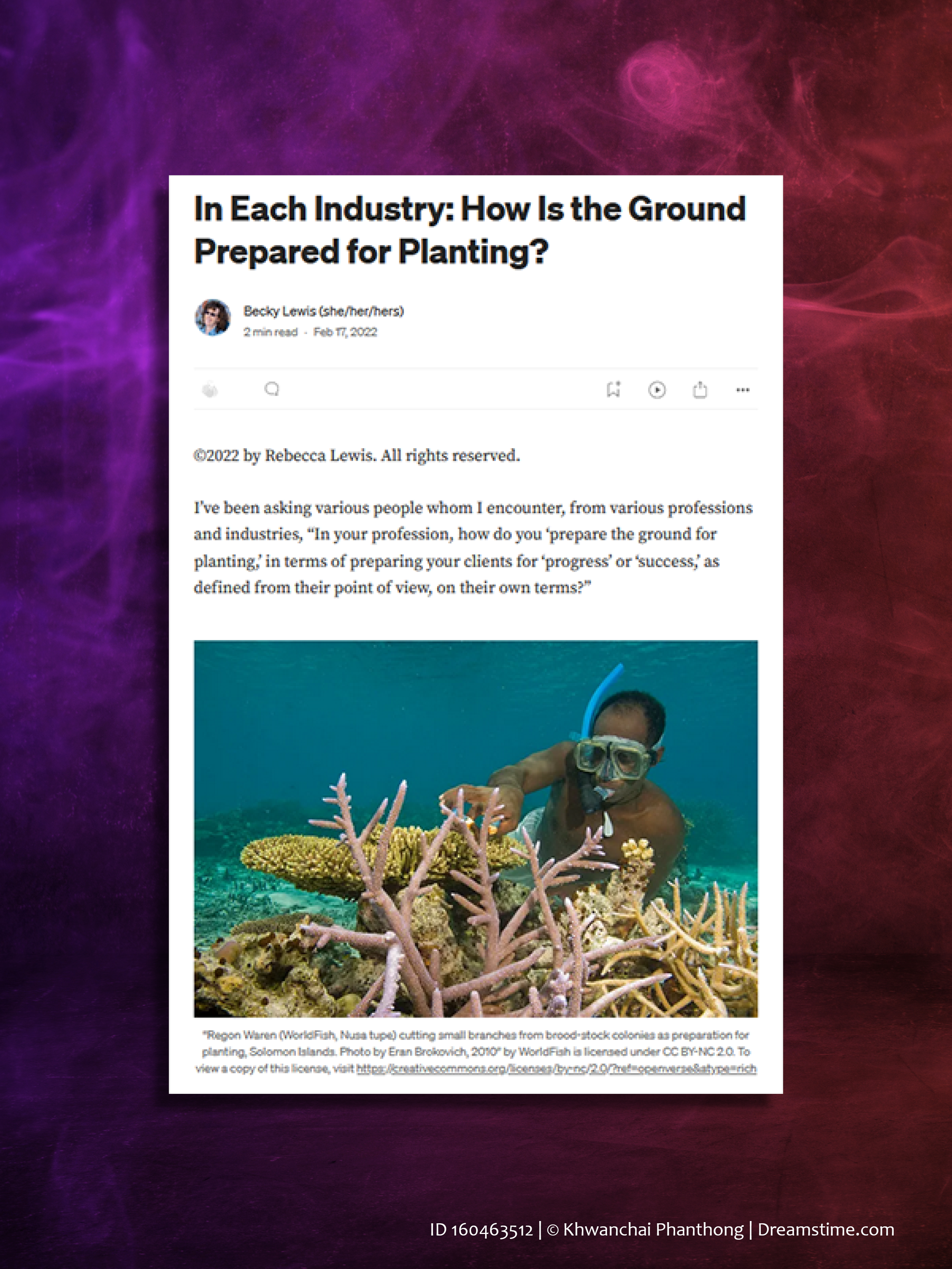 Preview of an article on Medium.com with a photo of a farmer near the Solomon Islands, underwater, tending to coral.