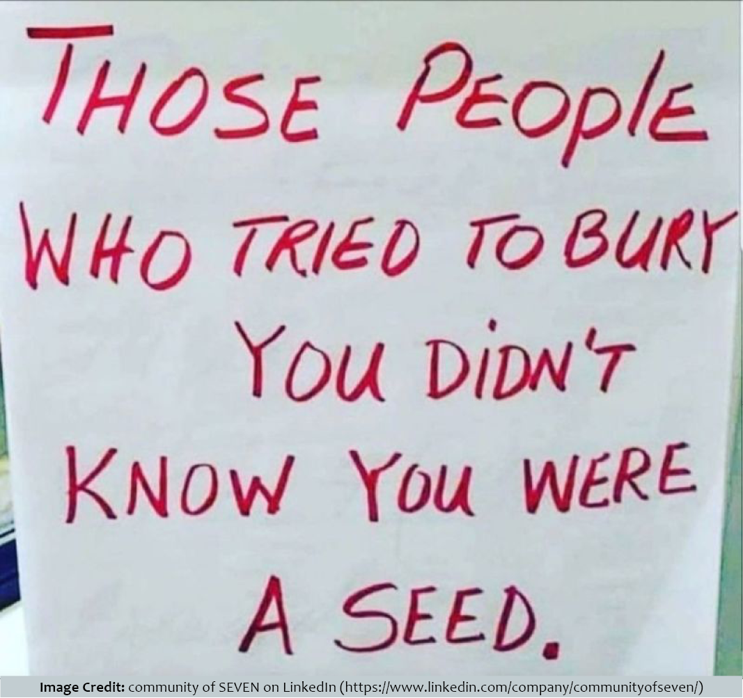 Photo of red handwritten letters on a whiteboard, almost all in capital letters: 'Those people who tried to bury you didn't know you were a seed.'